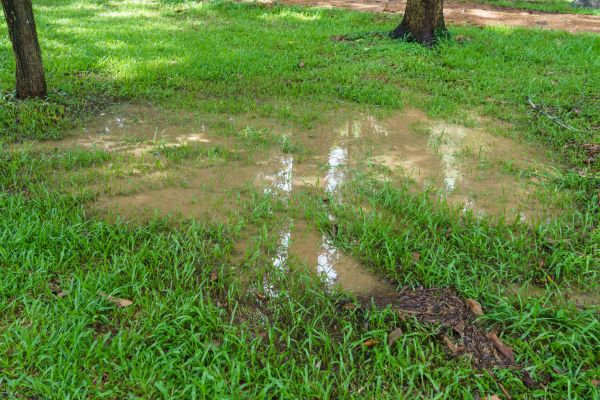 Cost of Storm Water Drainage Service in La Crosse