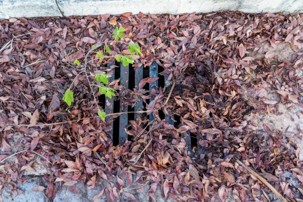 Cost of Yard Drain Unclogging in La Crosse