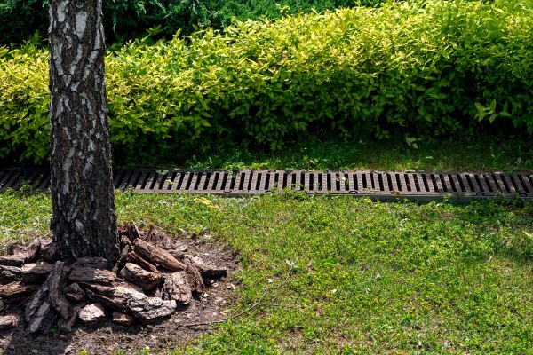 Cost of Yard Water Redirection in La Crosse