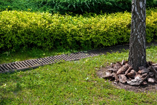 Cost of Residential Landscape Drainage in La Crosse