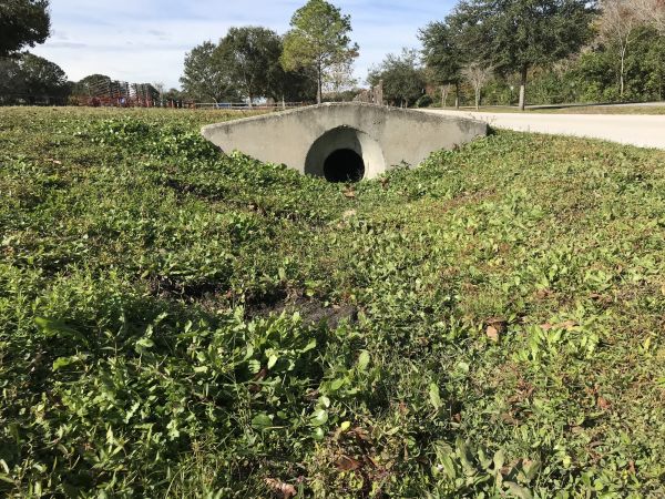 Cost of Swale Drainage Service in La Crosse